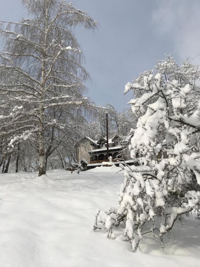 Kuca Za Odmor ,,Balkan” Crni Vrh Buitenkant foto