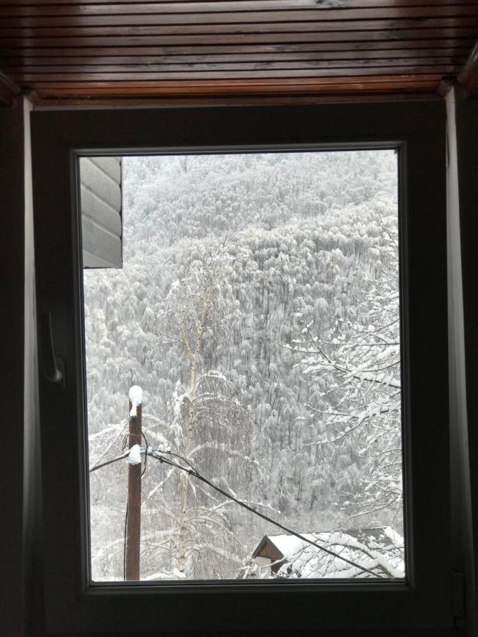 Kuca Za Odmor ,,Balkan” Crni Vrh Buitenkant foto