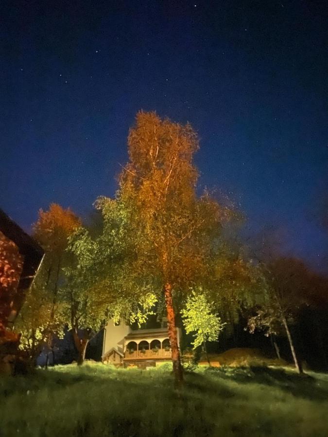 Kuca Za Odmor ,,Balkan” Crni Vrh Buitenkant foto