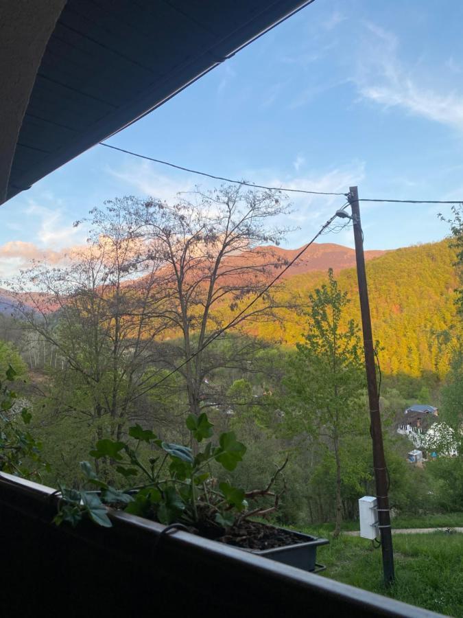 Kuca Za Odmor ,,Balkan” Crni Vrh Buitenkant foto