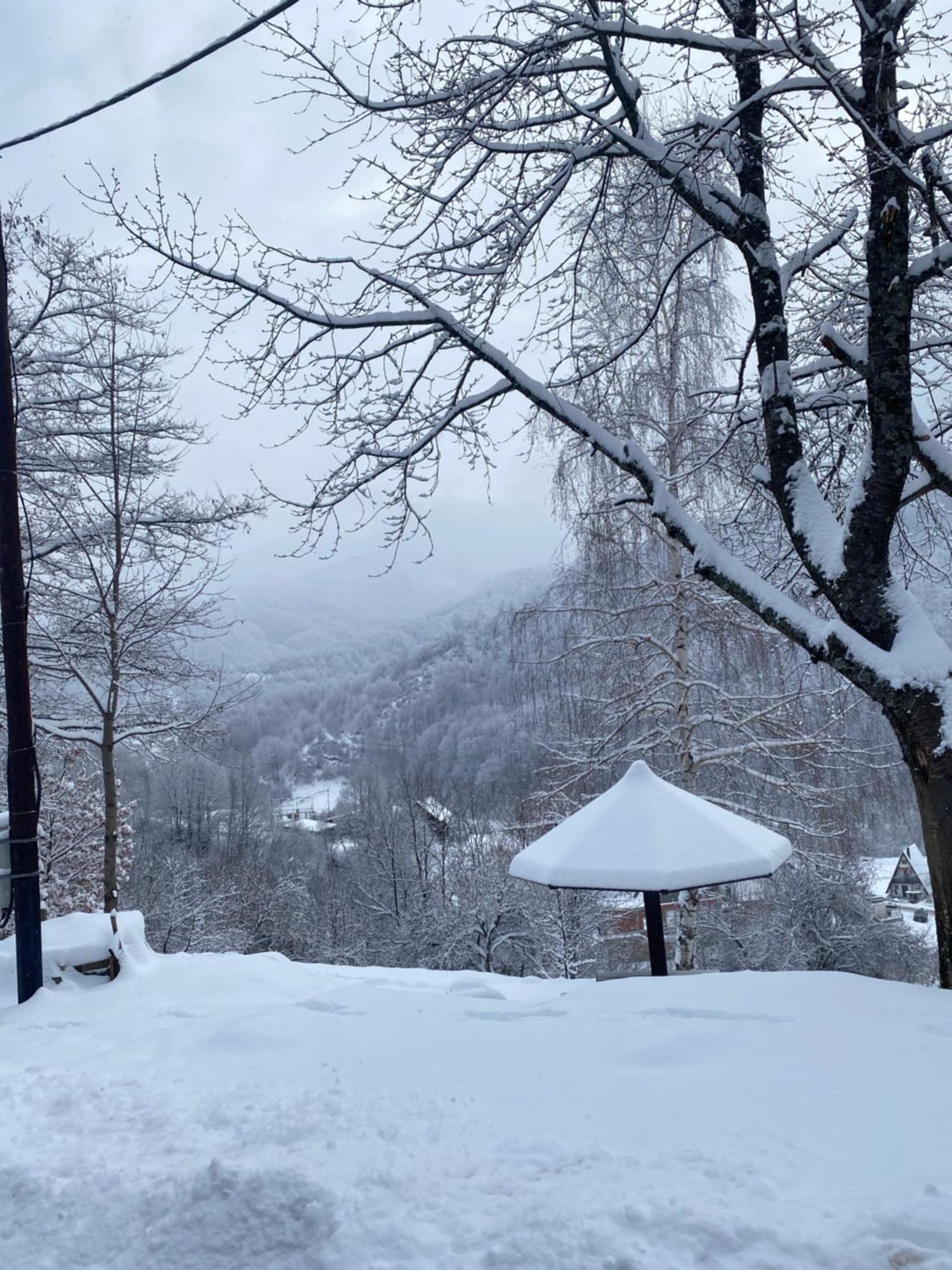 Kuca Za Odmor ,,Balkan” Crni Vrh Buitenkant foto