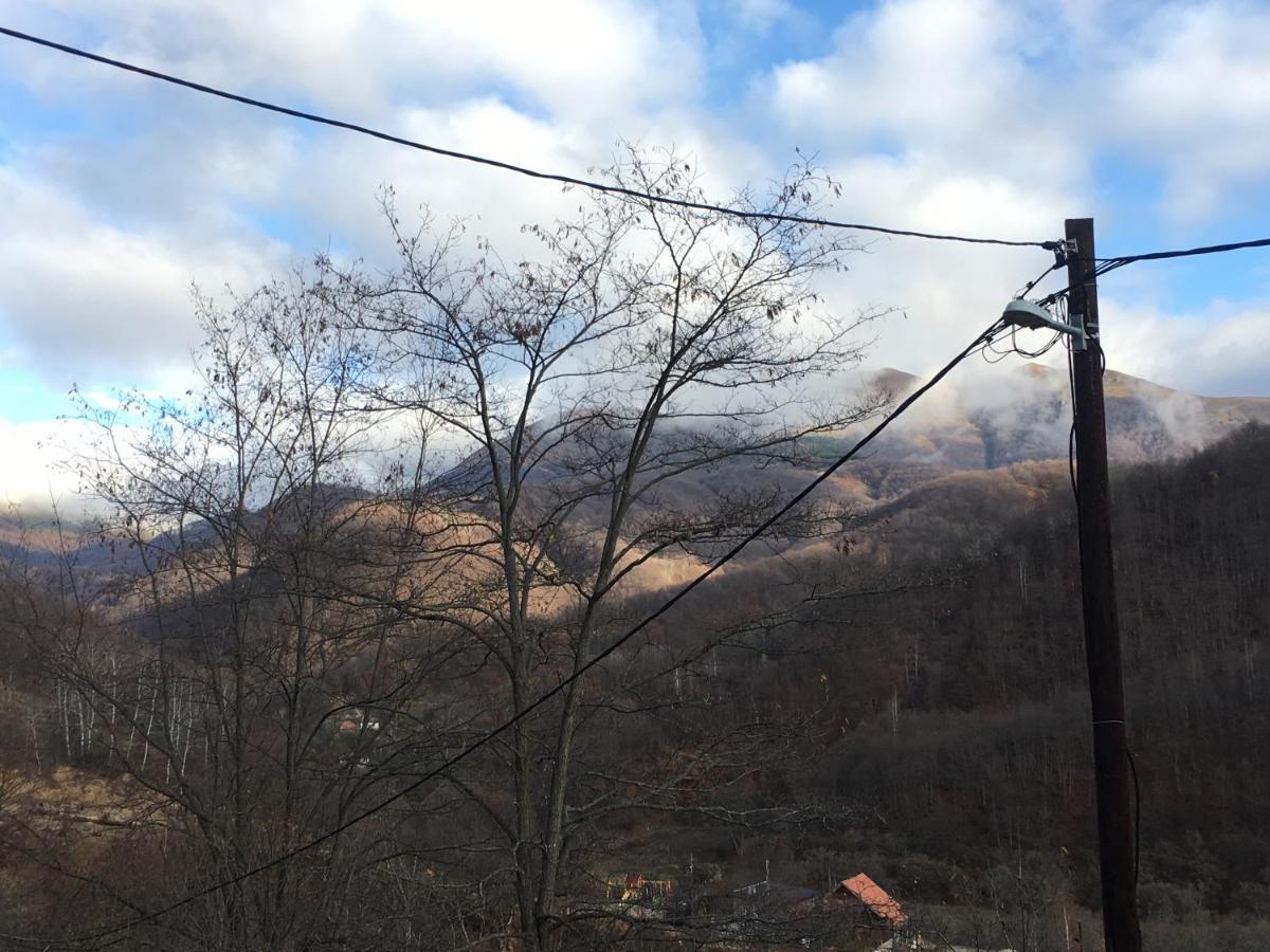 Kuca Za Odmor ,,Balkan” Crni Vrh Buitenkant foto