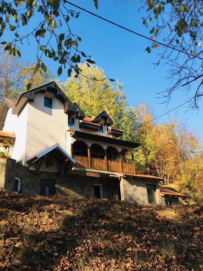 Kuca Za Odmor ,,Balkan” Crni Vrh Buitenkant foto